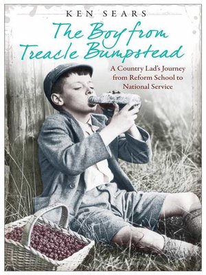 cover image of The Boy from Treacle Bumpstead